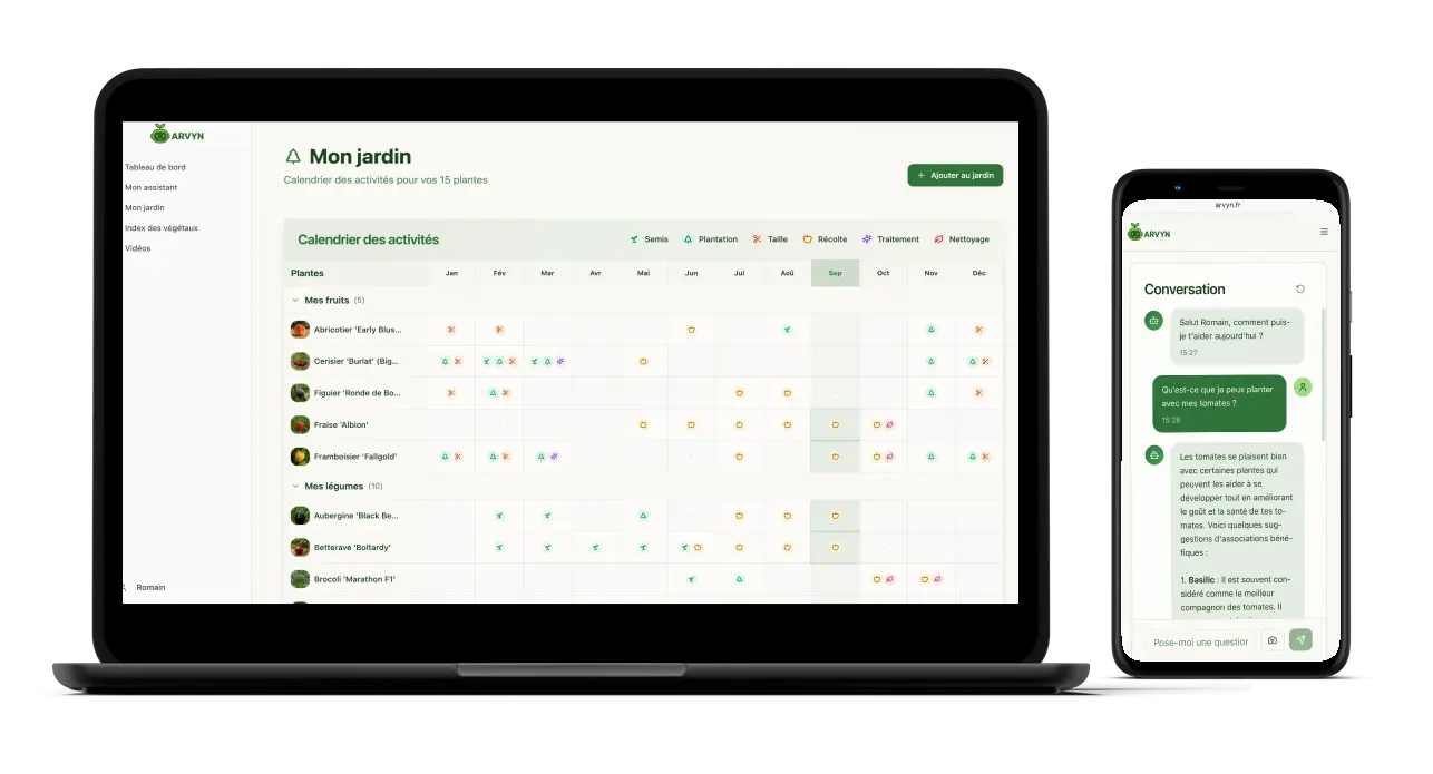 Interface de l'application Potager IA montrant le calendrier des activités de jardinage sur desktop et mobile